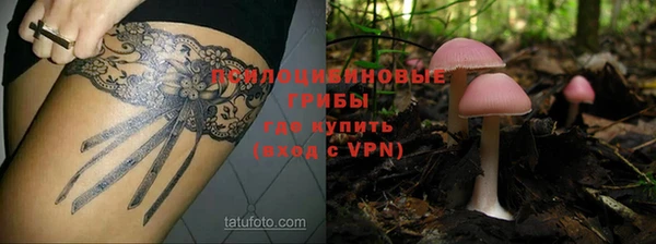 ГАЛЛЮЦИНОГЕННЫЕ ГРИБЫ Армянск